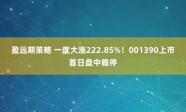 盈远期策略 一度大涨222.85%！001390上市首日盘中临停
