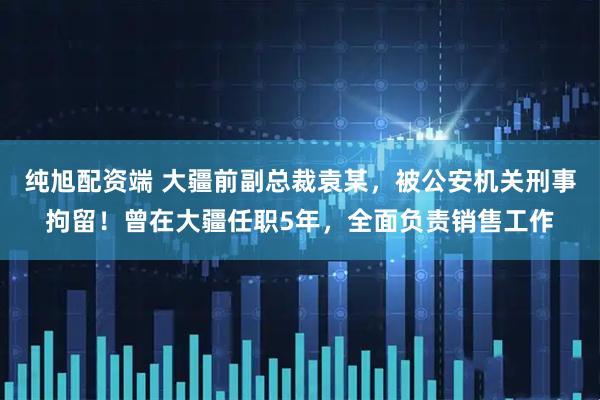 纯旭配资端 大疆前副总裁袁某，被公安机关刑事拘留！曾在大疆任职5年，全面负责销售工作